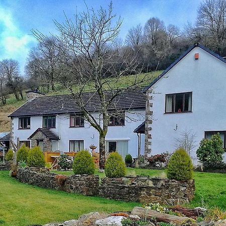 Neuadd Wen Guest House Carmarthen Dış mekan fotoğraf