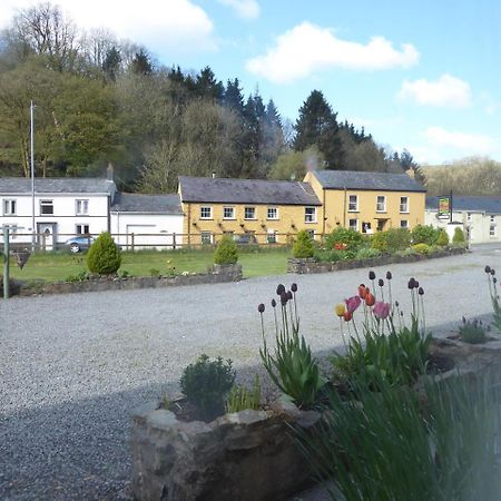 Neuadd Wen Guest House Carmarthen Dış mekan fotoğraf