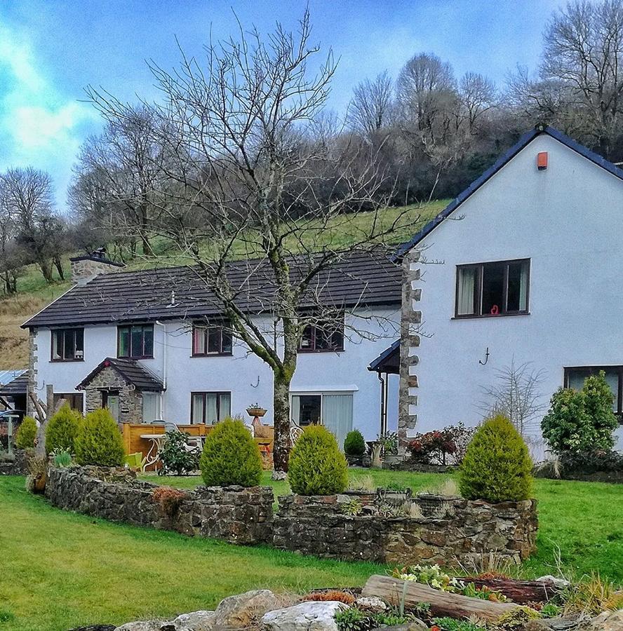 Neuadd Wen Guest House Carmarthen Dış mekan fotoğraf