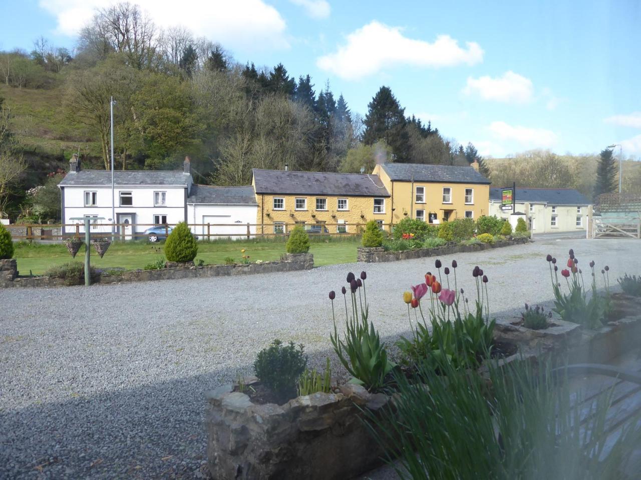 Neuadd Wen Guest House Carmarthen Dış mekan fotoğraf