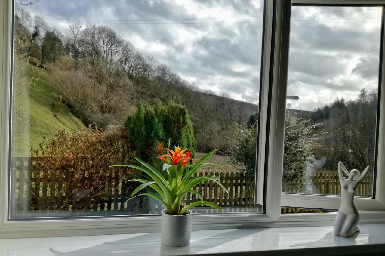 Neuadd Wen Guest House Carmarthen Dış mekan fotoğraf